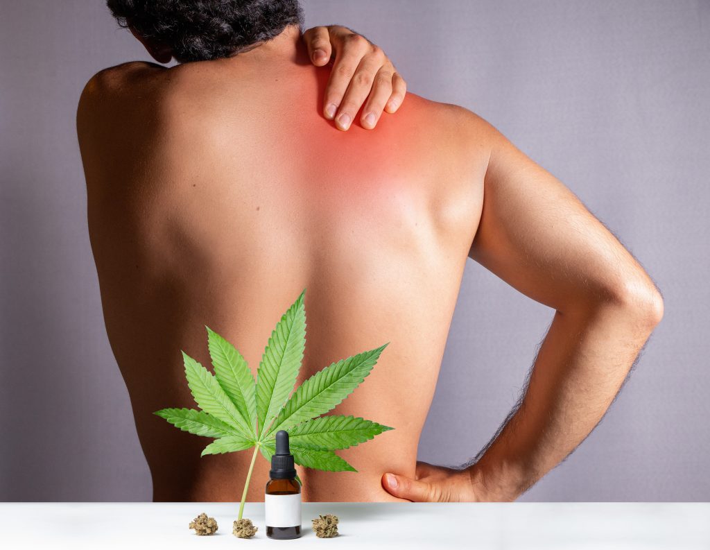 cannabis leaf over the top of a mans lower back with him grabbing his back