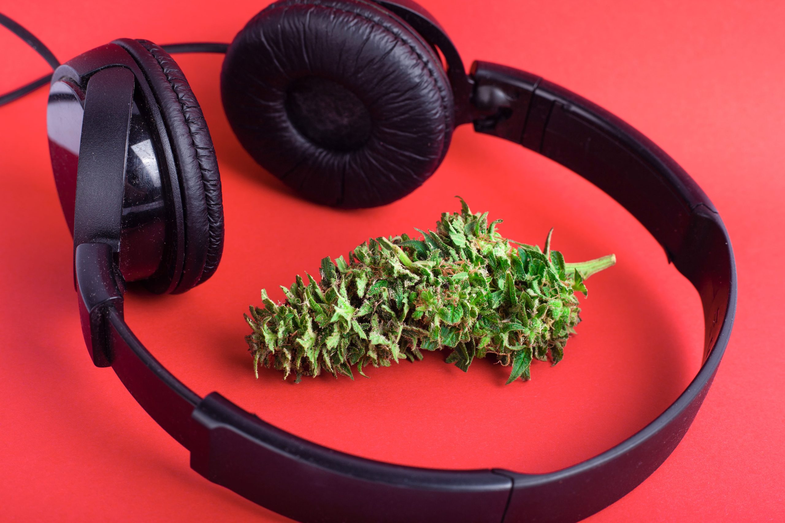 cannabis buds next to a pair of headphones